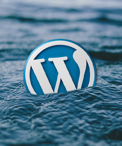 Why Custom WordPress Theme Development Is the Best Choice